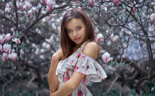 Daphne mcclure pink flower tree free wallpaper for desktop - medium preview image