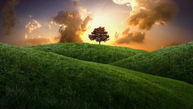 Hill sunset tree clouds landscape free wallpaper for desktop - medium preview image
