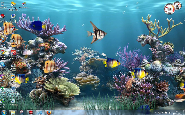 Computer screen fish corals window free wallpaper for desktop - medium preview image