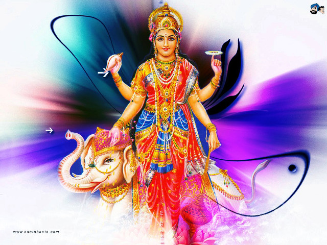 Woman elephant cup painting artistry free wallpaper for desktop - medium preview image