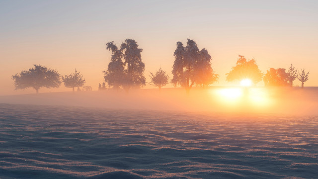 Foggy field trees sunset volumetric #2 free wallpaper for desktop - medium preview image