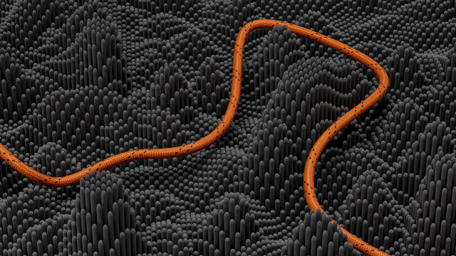 Orange line black dots pattern free wallpaper for desktop - medium preview image