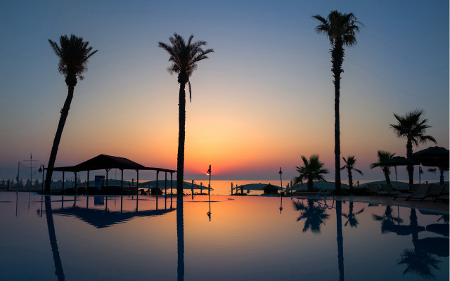Sunset pool palm trees person free wallpaper for desktop - medium preview image