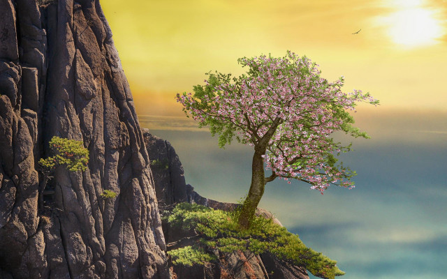 Tree cliff bird sunset fantasy free wallpaper for desktop - medium preview image