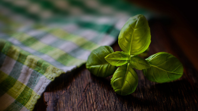 Green leafy plant wooden table free wallpaper for desktop - medium preview image