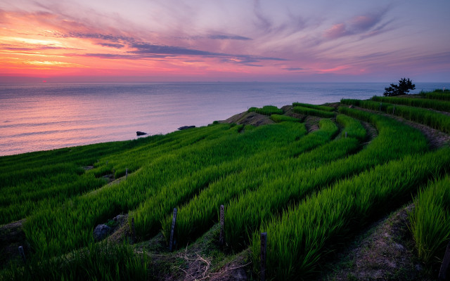 Sunset hill lake clouds grass free wallpaper for desktop - medium preview image