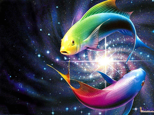 Colorful fish galaxy water stars free wallpaper for desktop - medium preview image