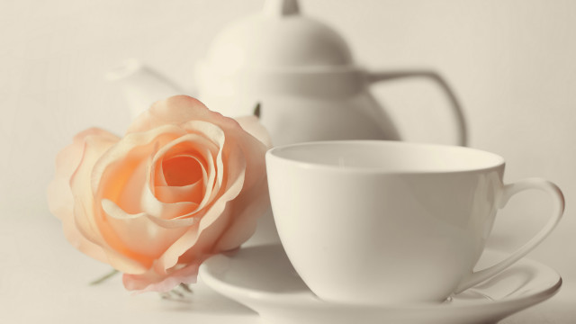 White tea pot white cup free wallpaper for desktop - medium preview image