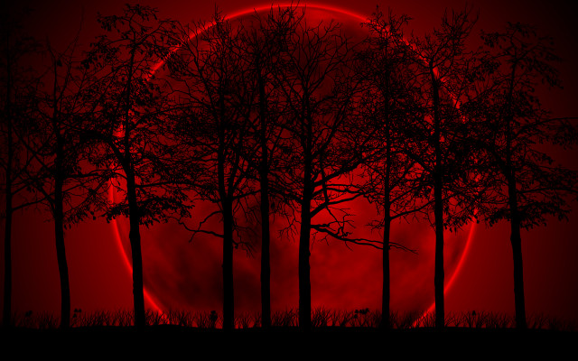 Red moon trees dark night free wallpaper for desktop - medium preview image