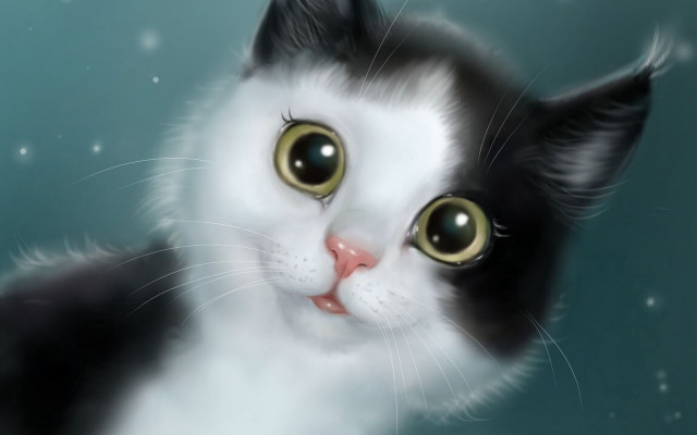 Black cat yellow eyes snowing free wallpaper for desktop - medium preview image