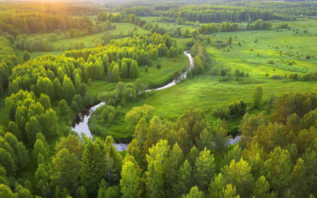 River forest sunset green nature free wallpaper for desktop - medium preview image