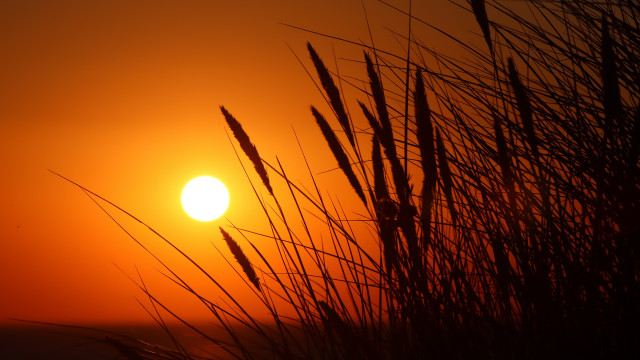 Sunset tallgrass redsky mountain fullmoon free wallpaper for desktop - medium preview image