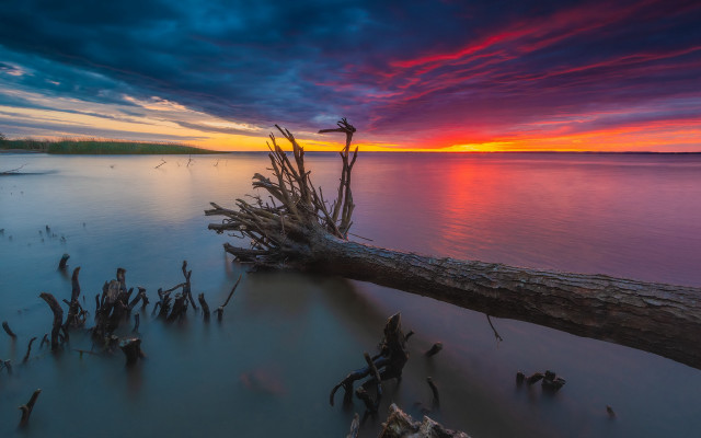 Tree water beach sunset mountain free wallpaper for desktop - medium preview image