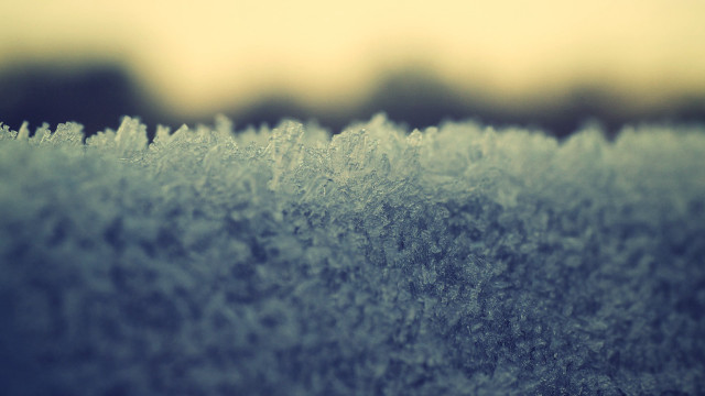 Frosty surface trees sky winter free wallpaper for desktop - medium preview image