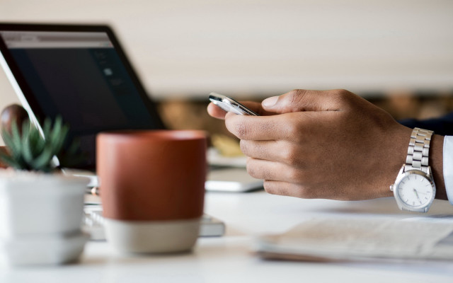 Person table phone laptop plant free wallpaper for desktop - medium preview image