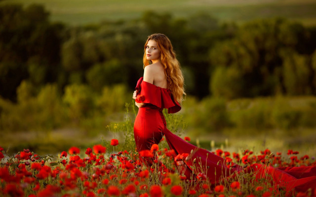 Woman red dress flower field #2 free wallpaper for desktop - medium preview image