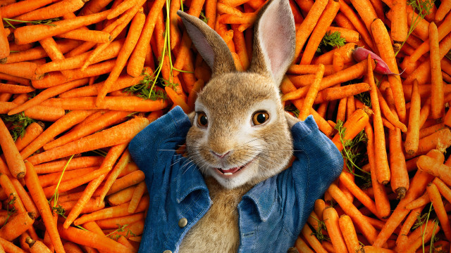 Rabbit blue shirt tie carrots free wallpaper for desktop - medium preview image