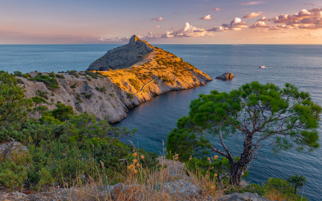 Small island ocean tree boat free wallpaper for desktop - medium preview image