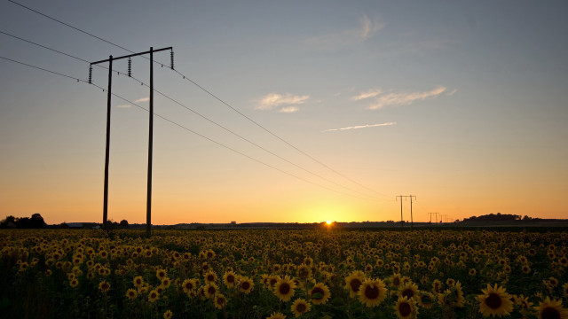 Sunflowers powerlines dusk mountain sky free wallpaper for desktop - medium preview image