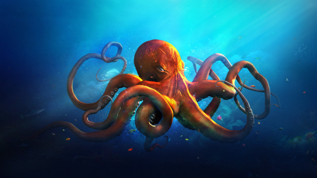 Octopus light shining ocean blue free wallpaper for desktop - medium preview image