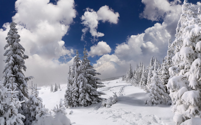 Snowy landscape trees clouds mountain free wallpaper for desktop - medium preview image