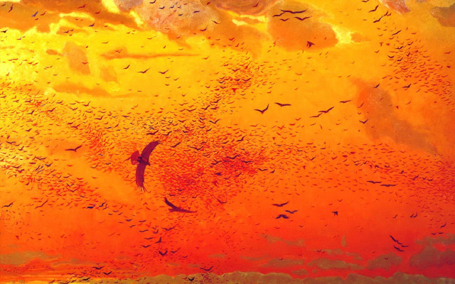 Birds sunset water flock autumn free wallpaper for desktop - medium preview image