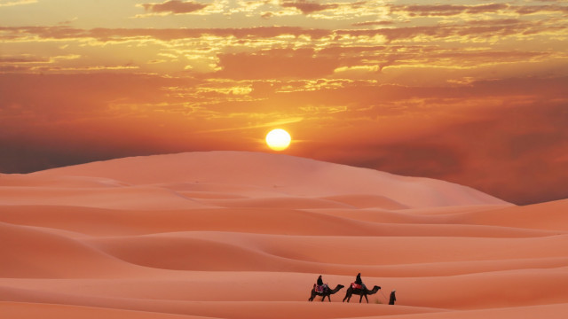 Desert sunset group camel hill free wallpaper for desktop - medium preview image