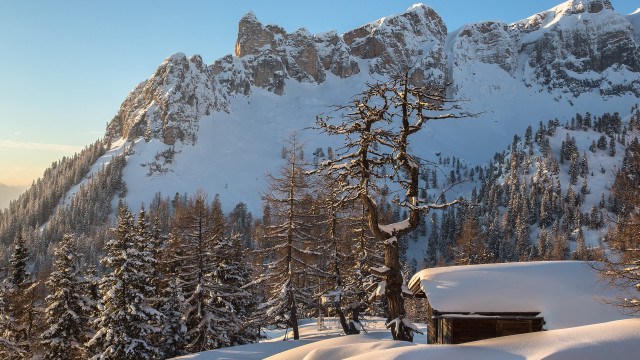 Snowy mountain cabin trees winter free wallpaper for desktop - medium preview image