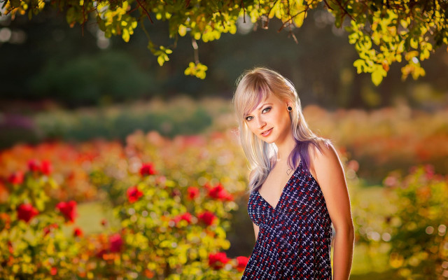Woman tree field flowers blue free wallpaper for desktop - medium preview image