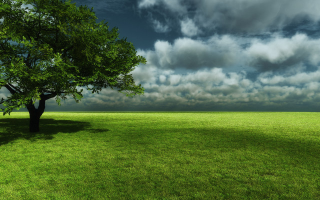 Tree field cloudy sky green #3 free wallpaper for desktop - medium preview image