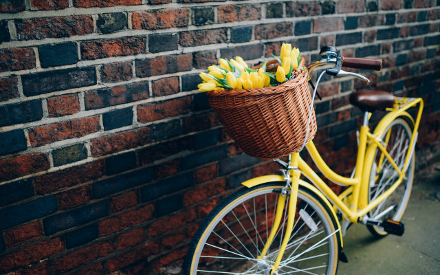 Yellow bicycle basket bananas brick free wallpaper for desktop - medium preview image