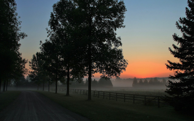 Dirt road trees fence sunset free wallpaper for desktop - medium preview image