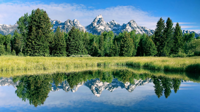 Mountain lake reflection forest grass free wallpaper for desktop - medium preview image