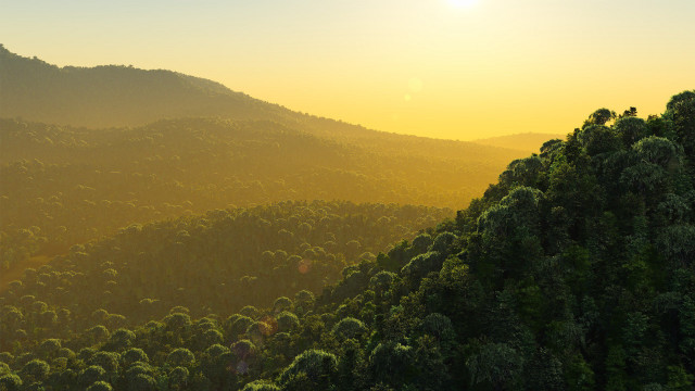 Mountain forest sunset volumetric lighting free wallpaper for desktop - medium preview image