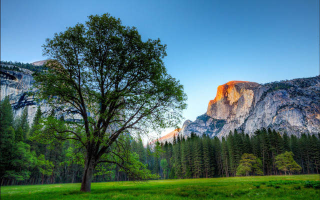 Tree field mountains blue sky #2 free wallpaper for desktop - medium preview image