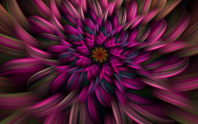 Purple flower green center surrounded free wallpaper for desktop - medium preview image