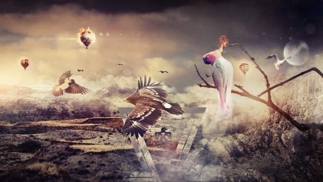 Bird flying cliff tree birds free wallpaper for desktop - medium preview image