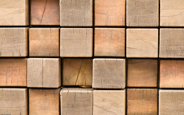 Wooden wall bird textures modular free wallpaper for desktop - medium preview image