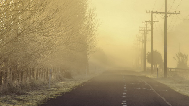Foggy road telephone pole trees free wallpaper for desktop - medium preview image