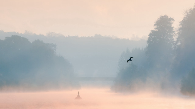 Bird lake foggy mountain lighthouse free wallpaper for desktop - medium preview image
