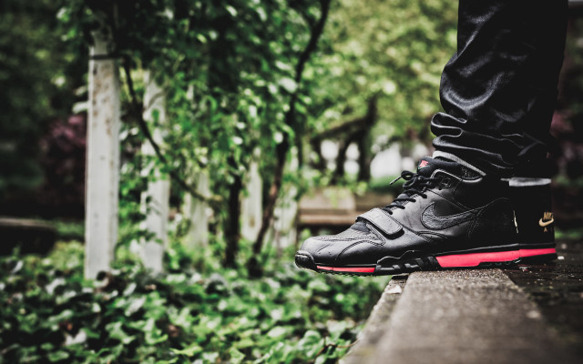 Ledge skateboard park bush macro free wallpaper for desktop - medium preview image