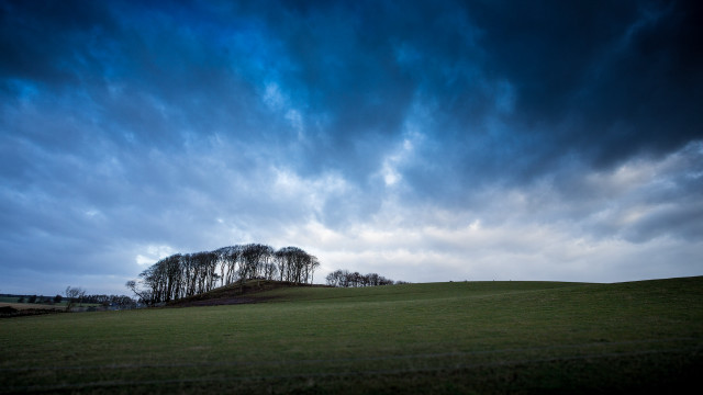 Grassy field trees hill cloudy free wallpaper for desktop - medium preview image