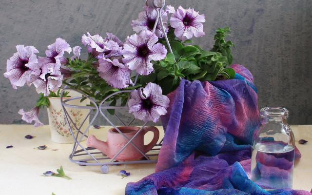 Vase flowers teapot purple cloth free wallpaper for desktop - medium preview image