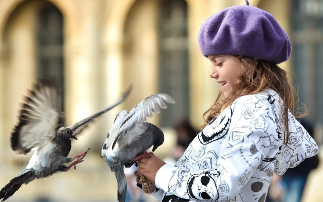 Girl feeding bird purple hat free wallpaper for desktop - medium preview image