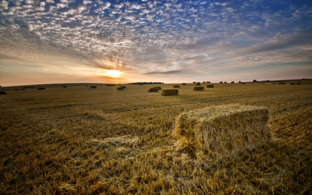 Hayfield sunset clouds bales outdoors free wallpaper for desktop - medium preview image