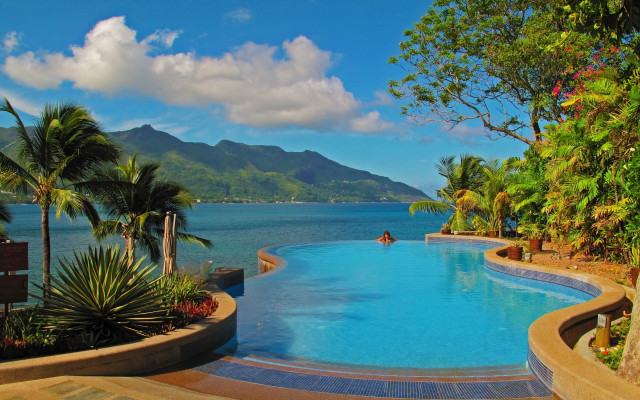 Large pool ocean mountains palm free wallpaper for desktop - medium preview image