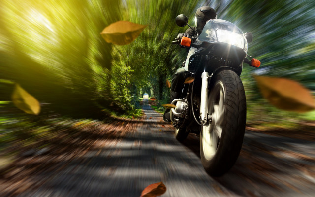Motorcycle woods leaves blurry motion free wallpaper for desktop - medium preview image