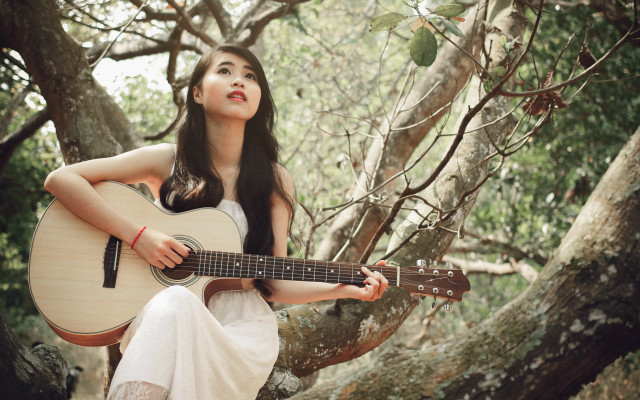 Woman sitting tree guitar smiling free wallpaper for desktop - medium preview image