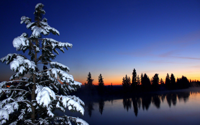 Snowy tree lake night sunset free wallpaper for desktop - medium preview image