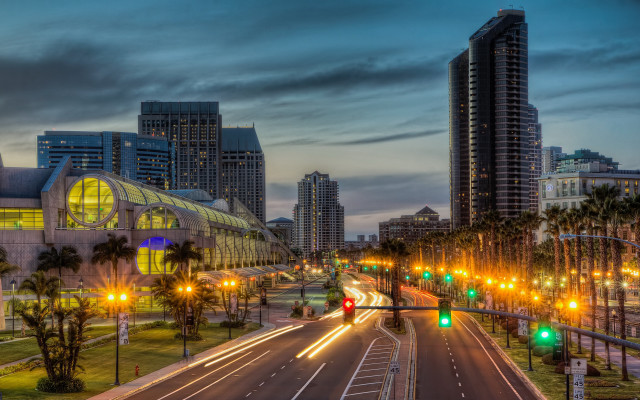 City street night palm trees free wallpaper for desktop - medium preview image
